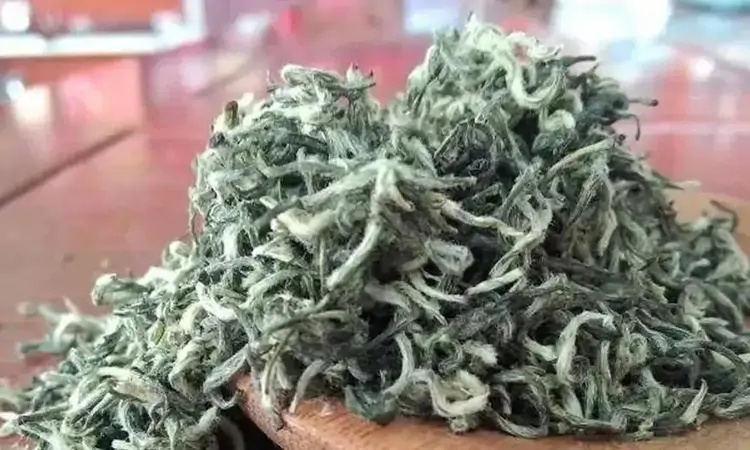 太湖之滨,无锡毫茶