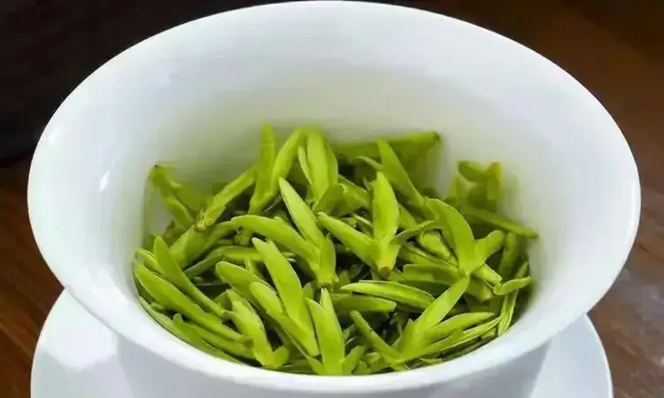 正是春茶季,该选择明前茶还是雨前茶?