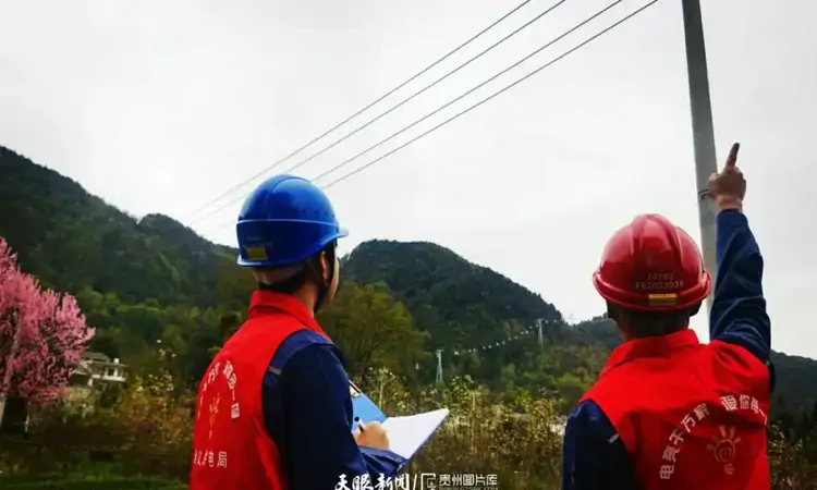 凤冈:党员服务队办电服务“走”进茶园