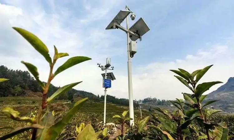 贵州联通助力沿河县打造“白叶一号”5G智慧茶园