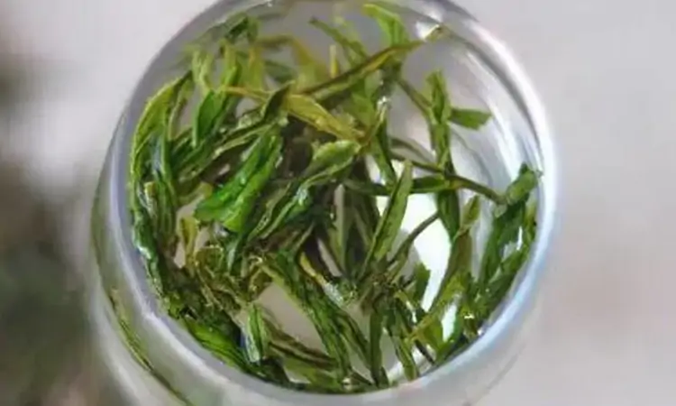 香气馥郁,滋味醇厚:天目青顶
