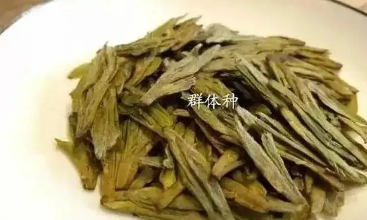 龙井茶的选购