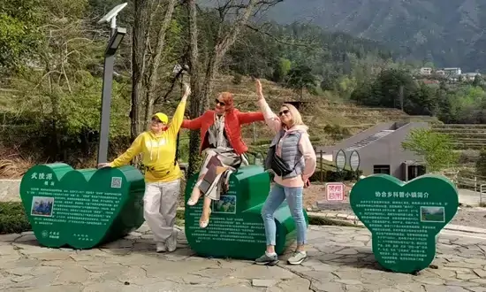 茶香漫青山 武陵源区“茶旅融合”解锁乡村振兴新风景