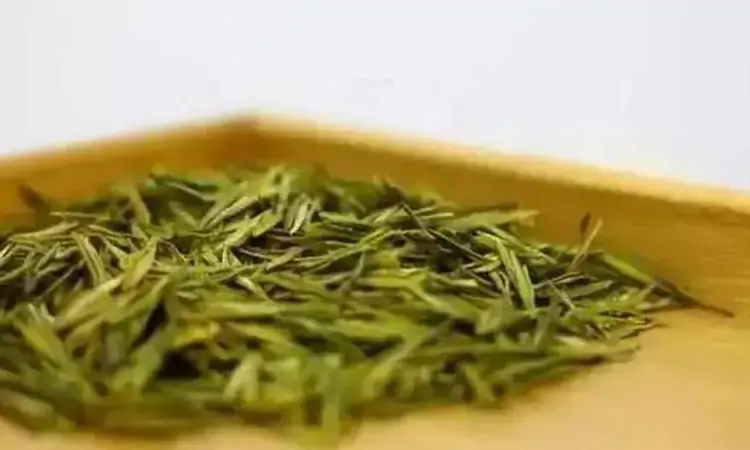 香气鲜爽,滋味甘醇:莫干黄芽