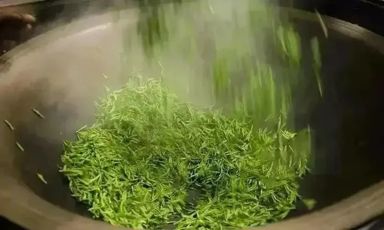 什么是长炒青?