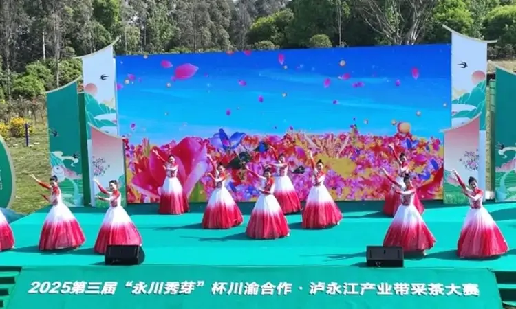 2025第三届“永川秀芽”杯川渝合作·泸永江产业带采茶大赛举行
