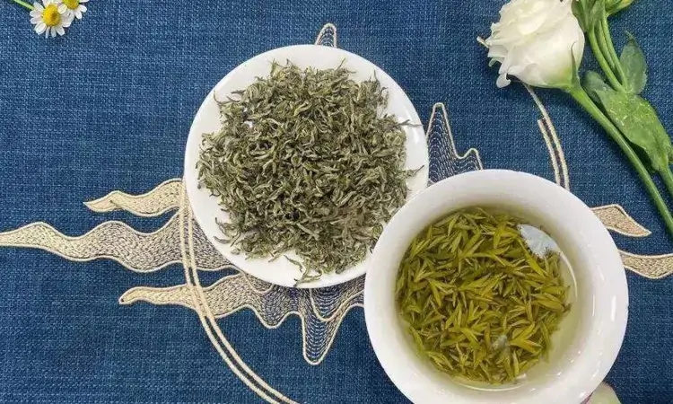 茶苑明珠蒙顶茶