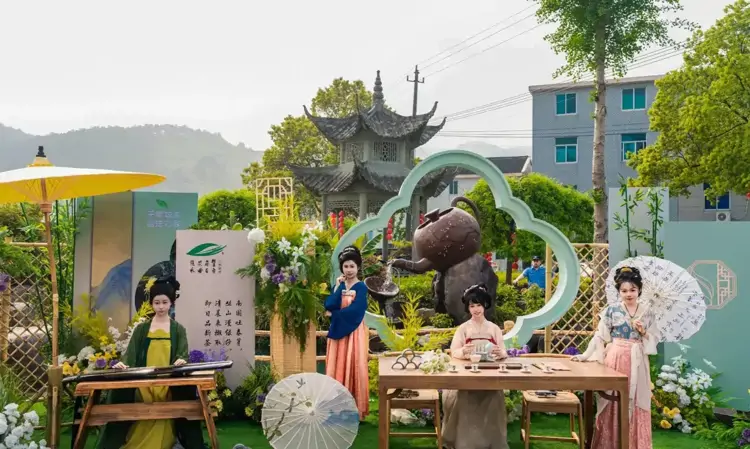 千名徒步爱好者探秘茶山 解锁“体育+茶旅”新玩法