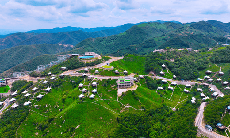 信阳市浉河区：茶山美景醉游人 茶旅融合绘新景
