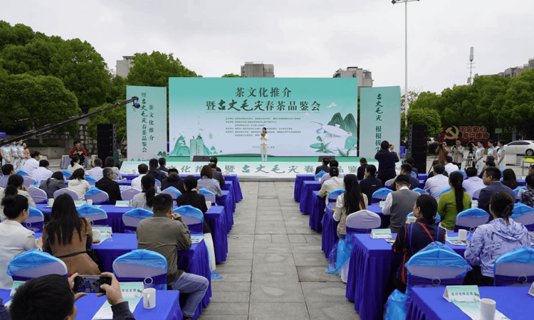 湖南古丈县茶文化推介暨古丈毛尖春茶品鉴会在长沙举行