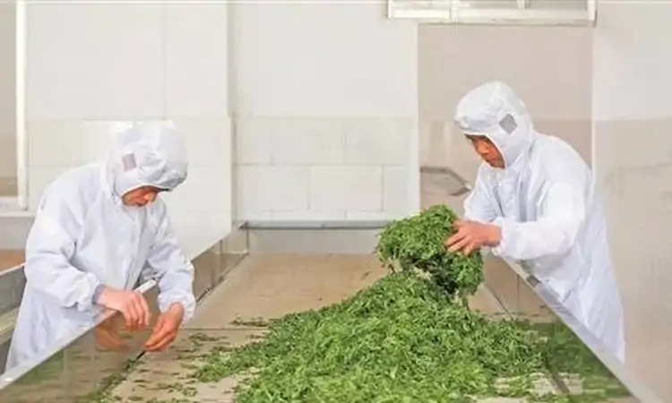 富硒茶带富一方