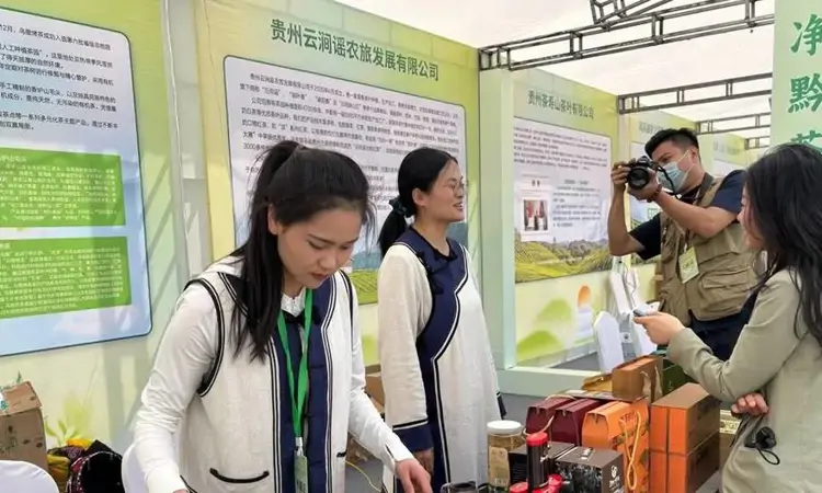 第七届中国·济南(槐荫)茶文化博览会亮点纷呈 三大维度激发产业活力