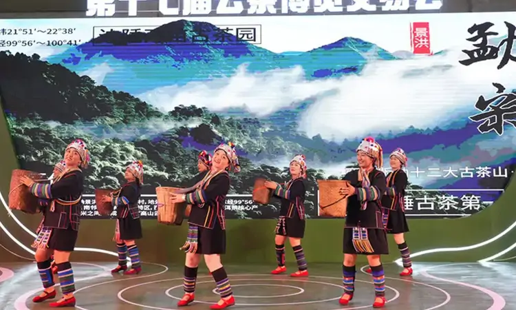 云南景洪在昆明举办茶文旅招商专场推介会