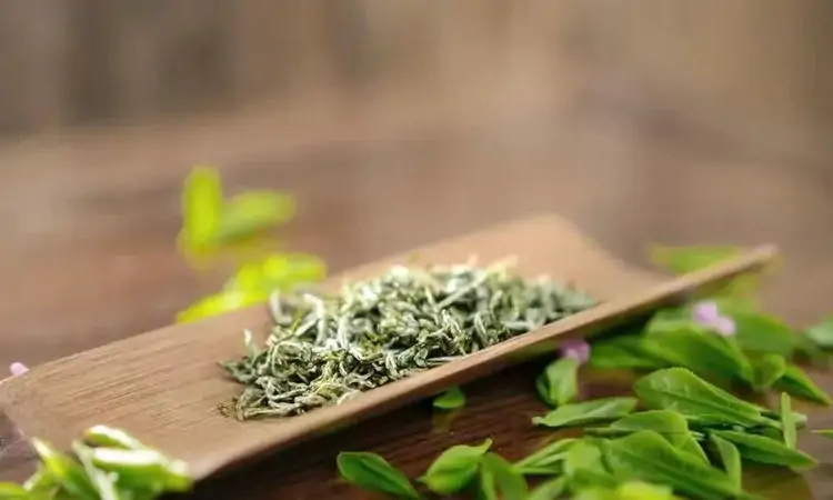 绿色食品惠明茶