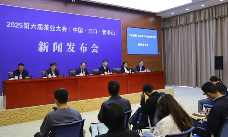 铜仁江口：将抹茶产业打造成100亿级产业