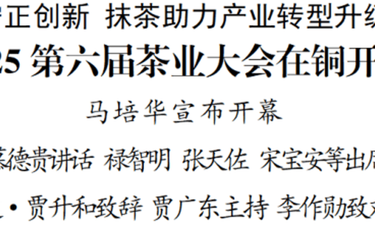 2025第六届茶业大会在铜开幕