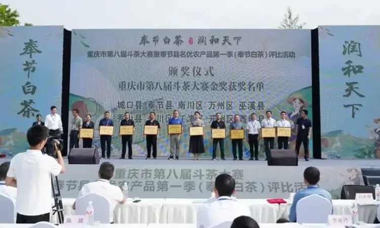 奉节白茶香飘诗城 市民共赏茶届盛宴