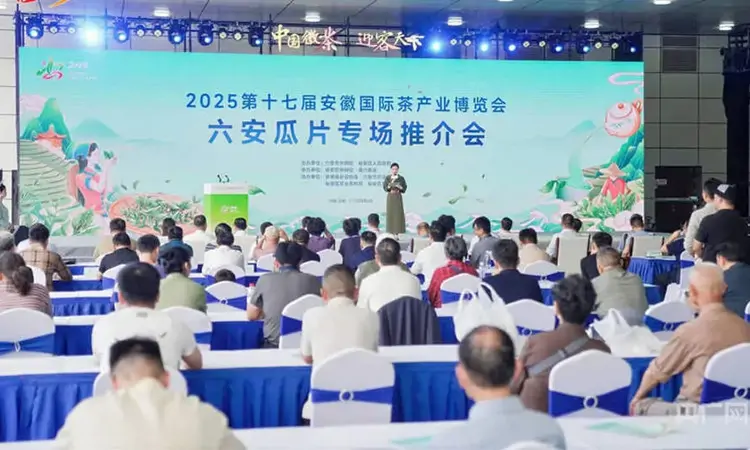 皖韵茶香迎远客