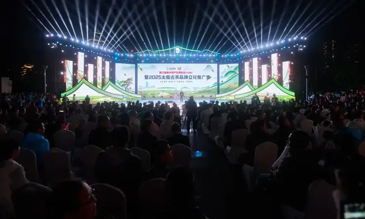 满城茶飘香！七星关区举办贵州茶博会分会场暨太极古茶文化推广季启动仪式