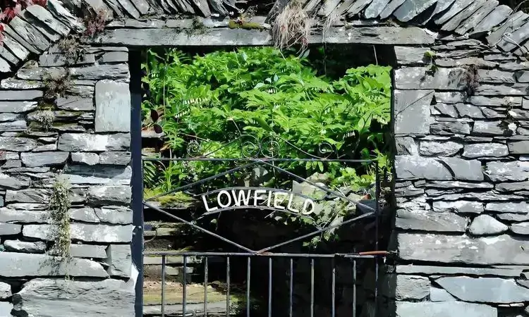 把日子过成自己喜欢的样子