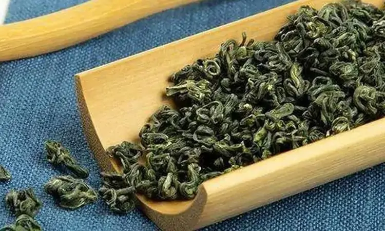 安徽名茶，休宁松萝