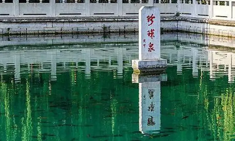 愧我无如此水清——济南珍珠泉