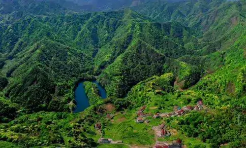 霄坑绿茶品牌价值“13连涨”的密码