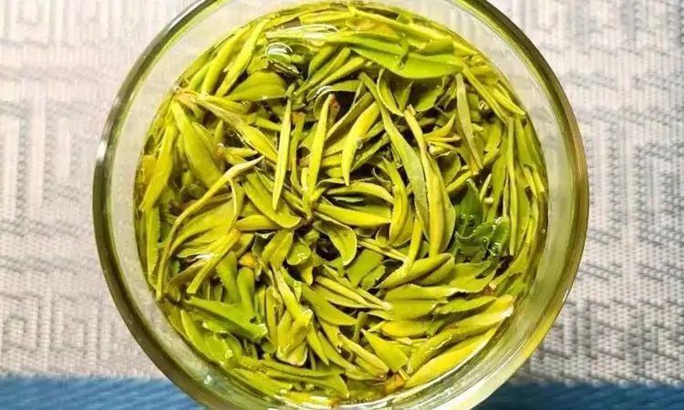 贡品仙芽,霍山黄芽