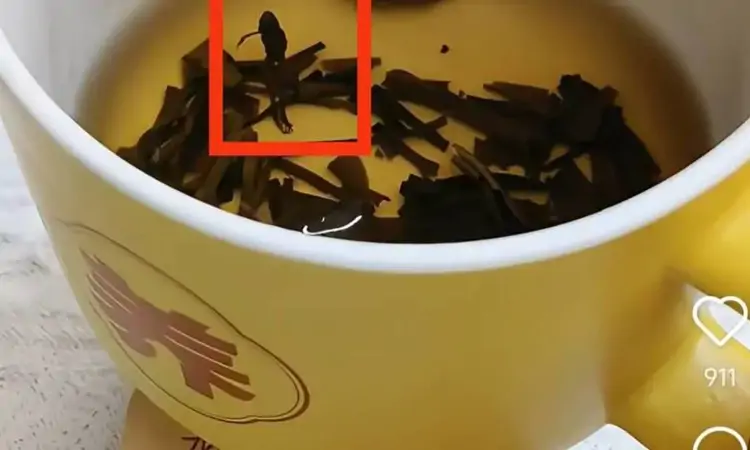 奈雪的茶被爆喝出整只青蛙 当事人:已协商处理