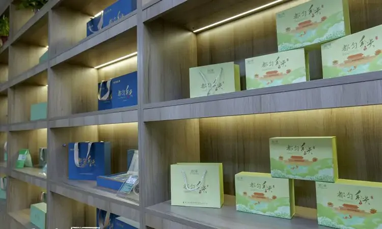 都匀毛尖续写“新茶经”