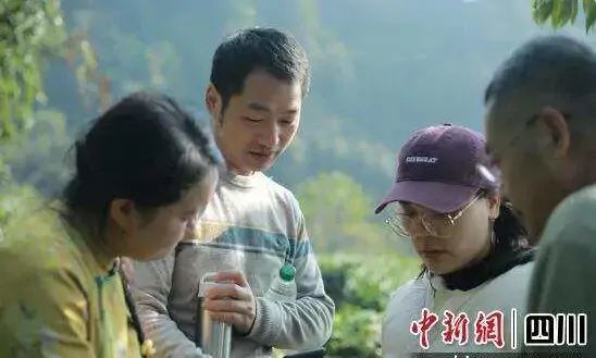 宋琦山:一位软件工程师到茶乡制茶人的蝶变