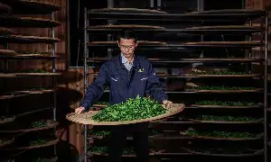 专家专访刘国英:以传承为本、技艺为脉,构建武夷岩茶的“真、变、道”产业新格局