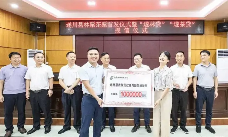 江西遂川:“茶票”落地开先河 绿水青山变“活钱”