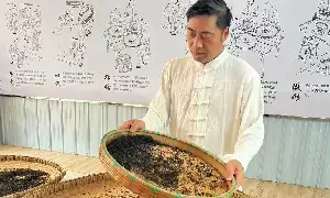 中国非遗里的平昌青芽茶:巴山深处的茶香传奇