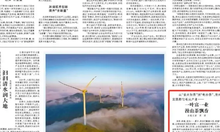《人民日报》:从“柴火制茶”到“电炒茶”,贵州发展都匀毛尖产业