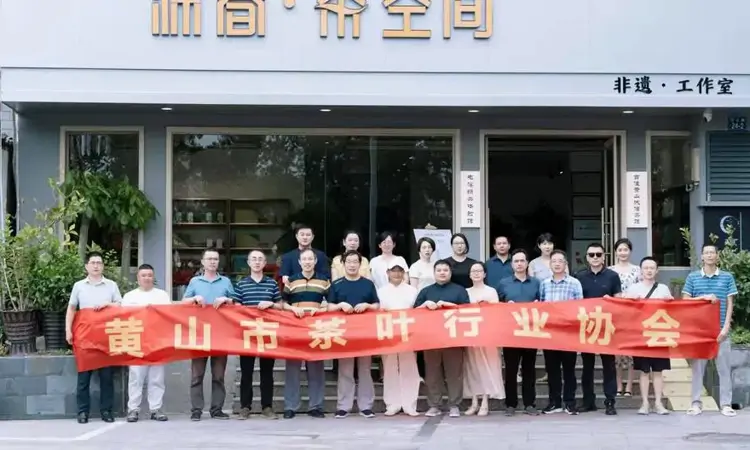 黄山茶人共话“屯绿”传承与创新,讲好“徽茶故事”