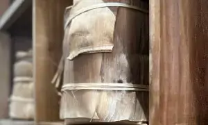 为什么普洱茶多为紧压茶？