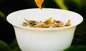 叶底，藏着茶叶的“体检报告