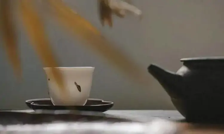 漫云女子不英雄,万里乘风独向东——秋瑾与茶