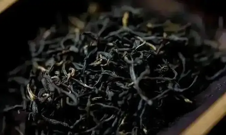 茗茶中的“秀丽皇后”——白琳工夫