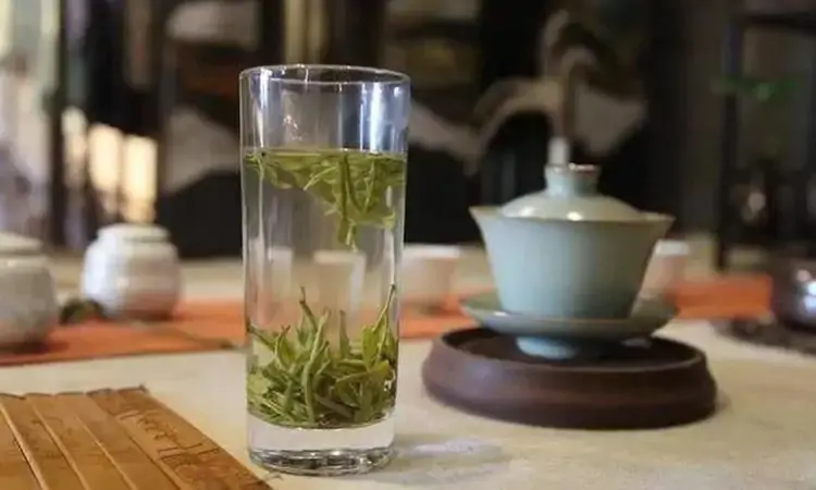 浙江白茶珍品——太白顶芽