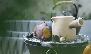 当我们在喝茶,我们究竟在喝什么?