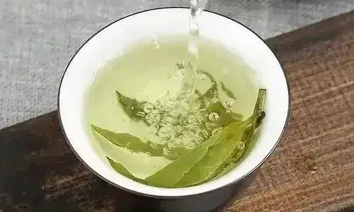 天然保健佳品——苦丁茶