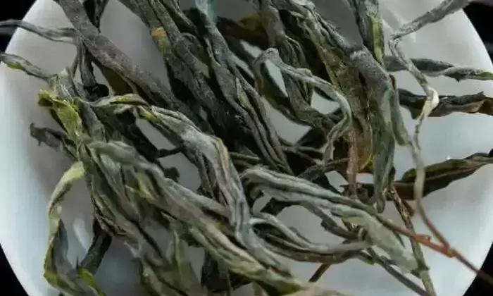 茶叶上的小绒毛，大有来头!