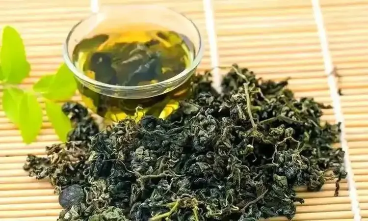 南方人参——绞股蓝茶