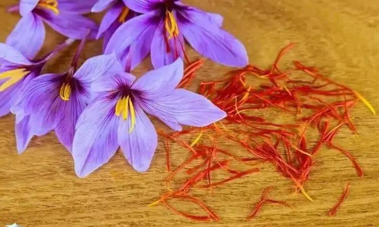 红色的金子——藏红花茶