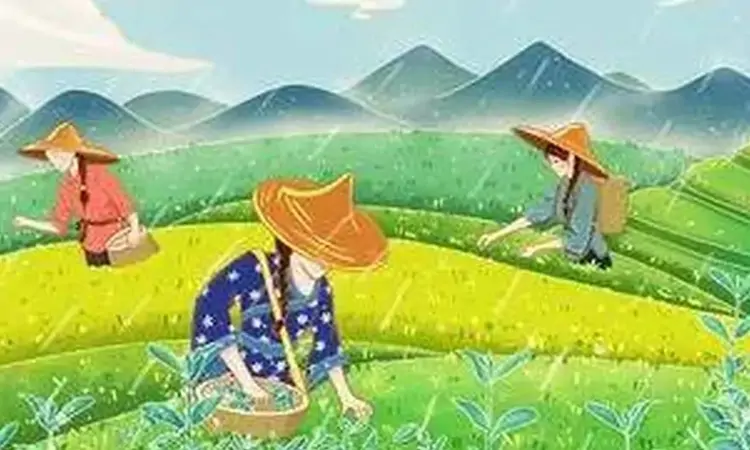 茶事百味小故事