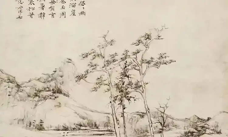 云林自爱白石茶