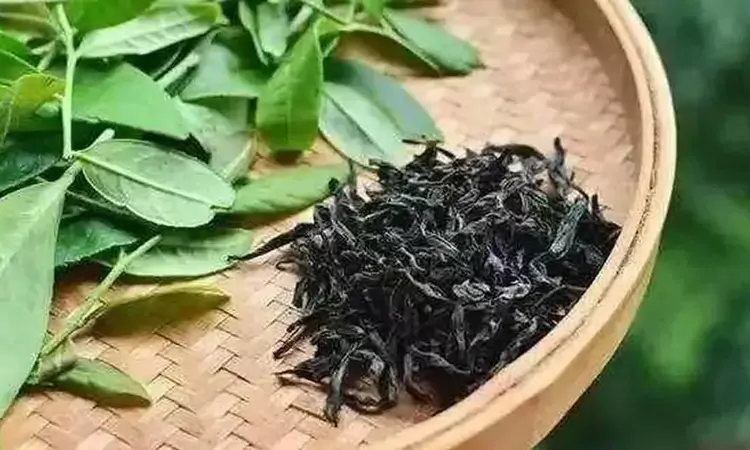 撮泡法开千古清饮之源