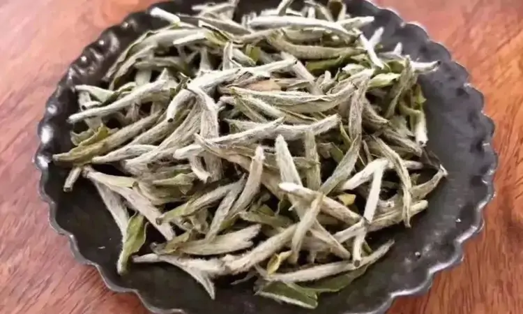 白毫银针茶